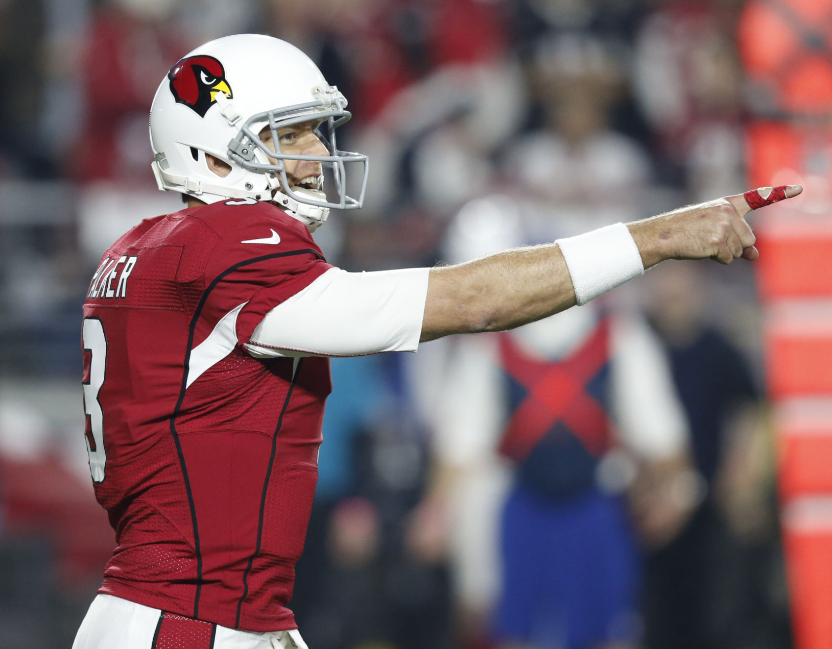 Carson Palmer